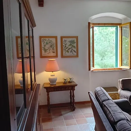 Apartamento Ai Lecci - Vada *