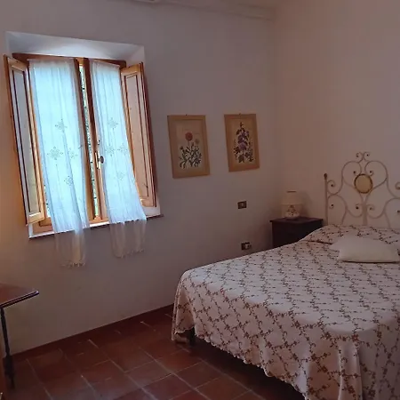 Apartamento Ai Lecci - Vada *