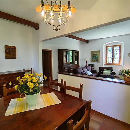 Apartamento Ai Lecci - Vada Collemezzano